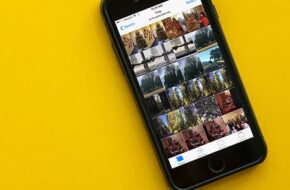 Cómo buscar objetos en la aplicación Fotos en iPhone y iPad (actualización de iOS 14)