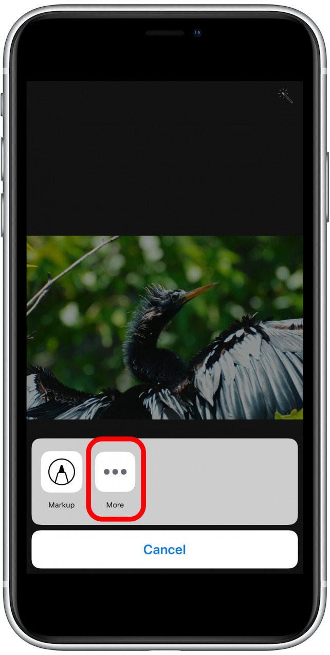 pantalla de extensiones de aplicaciones de fotos con más opciones resaltadas