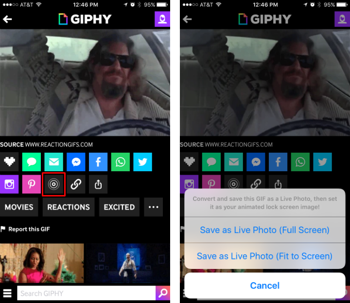 Cómo convertir los GIF en Live Photos con Giphy al iPhone.