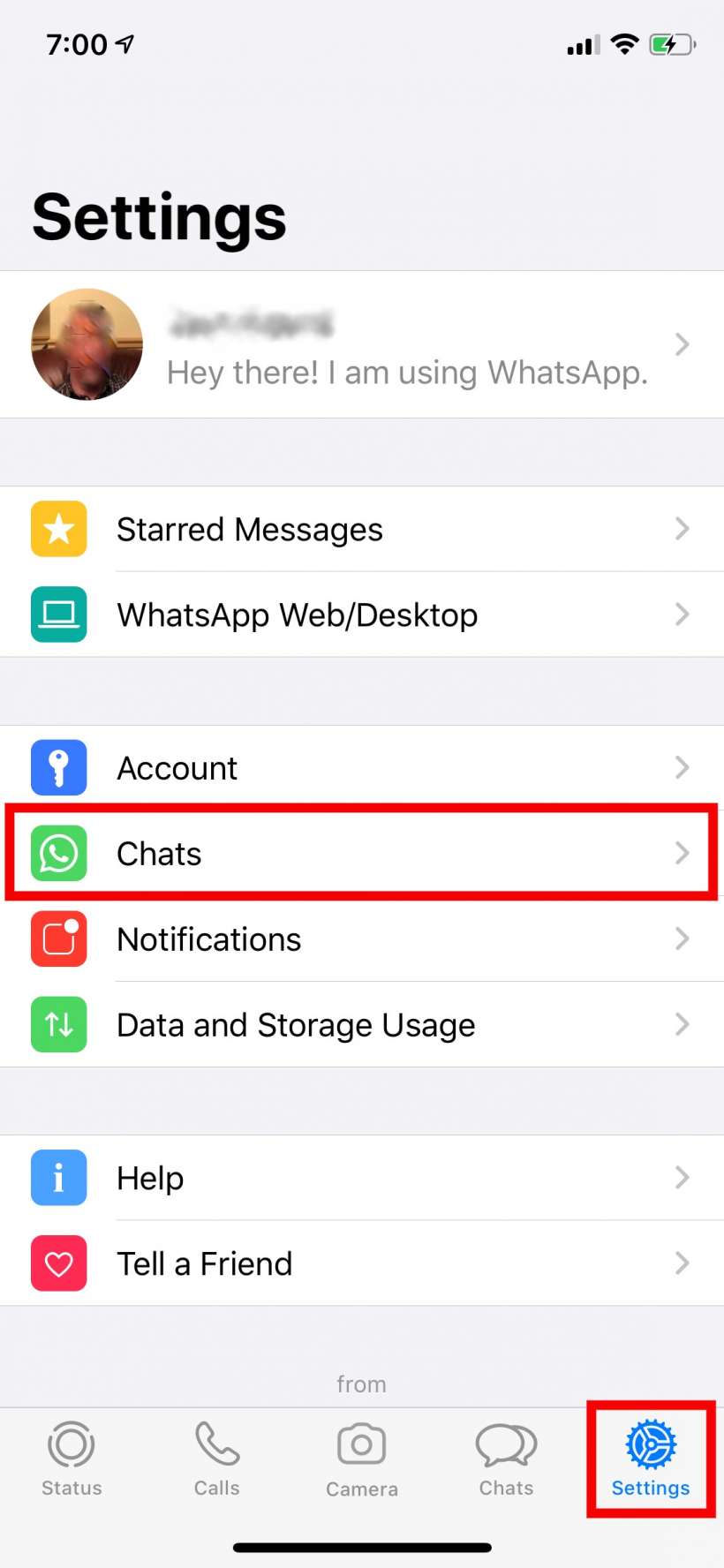 Cómo hacer copias de seguridad de sus chats de WhatsApp a iCloud iPhone y iPad.