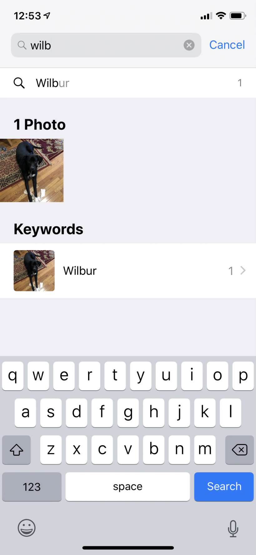 Cómo añadir palabras clave, títulos y descripciones a sus fotos en el iPhone.