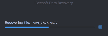 Recuperación de datos iBeesoft para Mac
