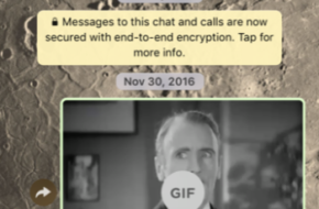 Cómo borrar los mensajes de WhatsApp antes de leerlos