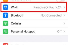 Cómo hacer que su dirección Wi-Fi sea privada en iPhone