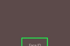 Como omitirse Face ID cuando llevas una mascarilla