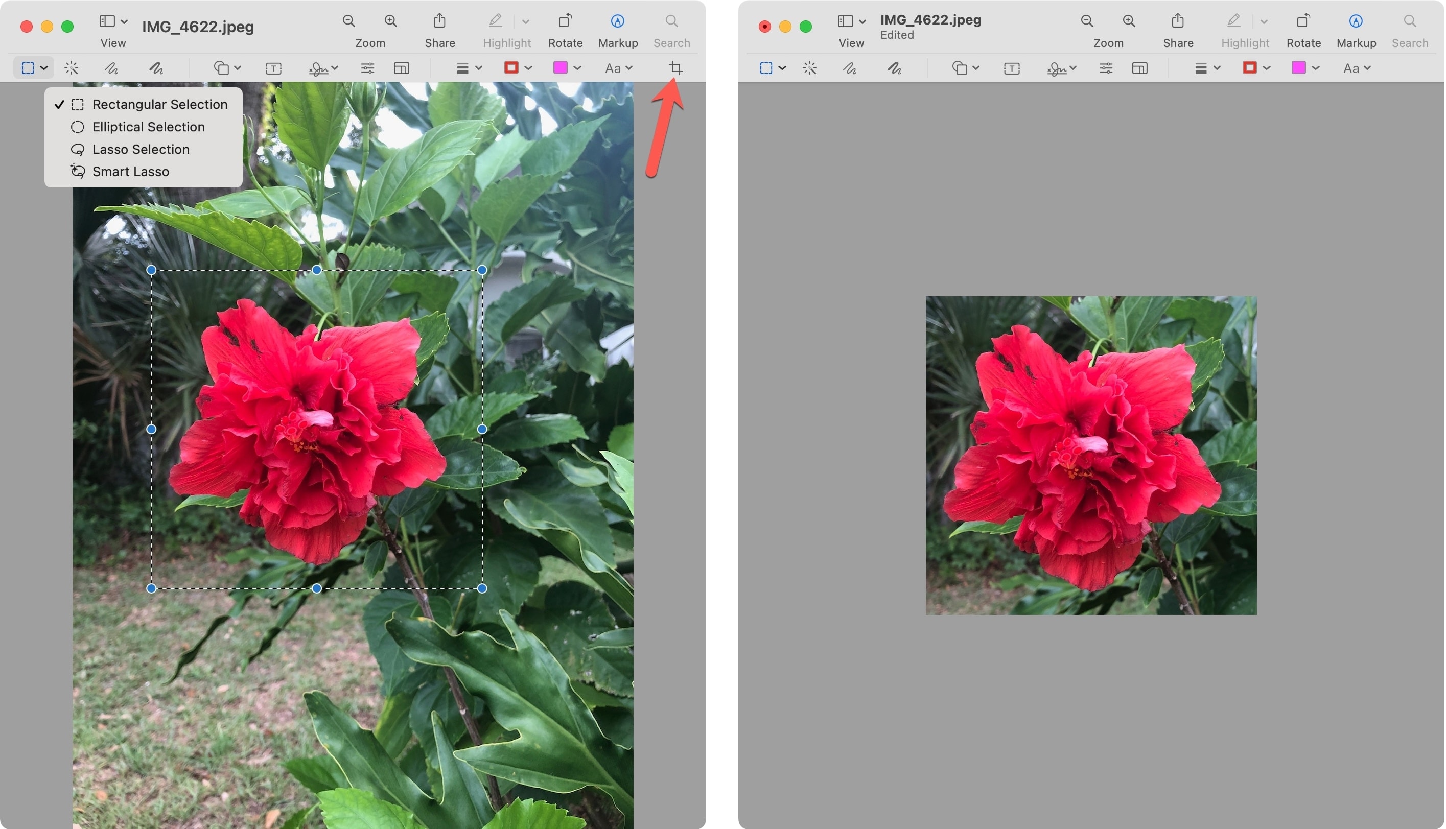Marque para recortar una imagen en el Mac con vista previa