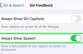 Cómo se activa la transcripción de Siri en el iPhone