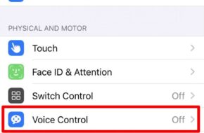 Cómo se utiliza el control de voz en el iPhone